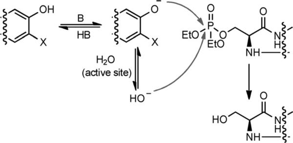 Scheme 2