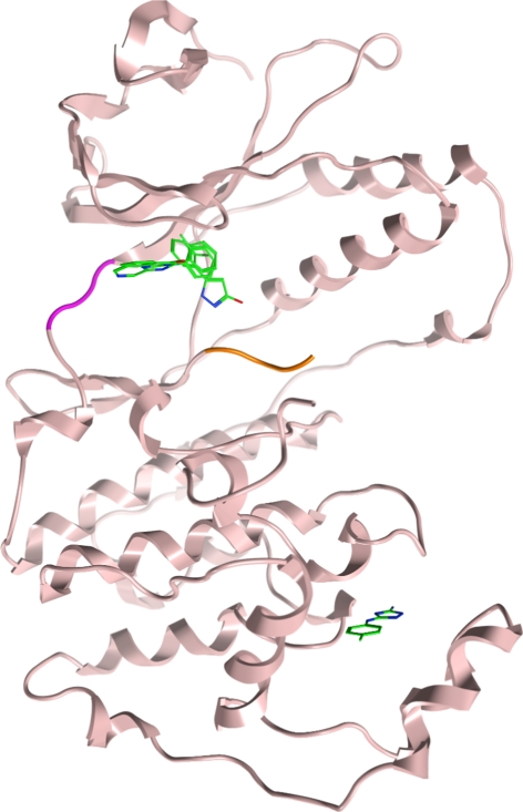 Fig. 10