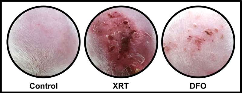 Figure 5: