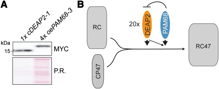 Figure 9.