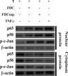 FIG. 5.
