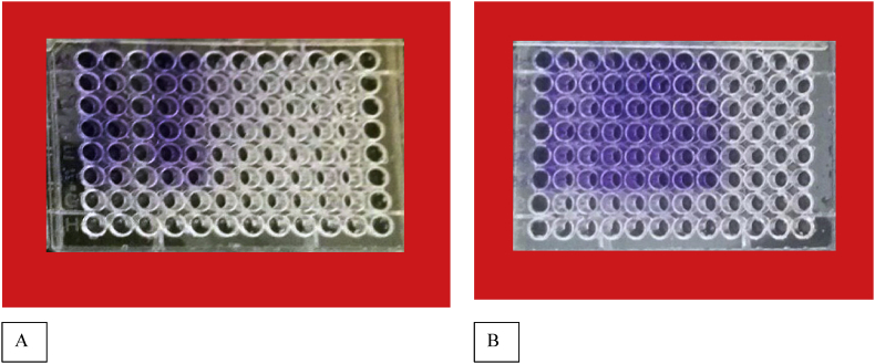 Figure 6