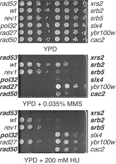 Fig 2.