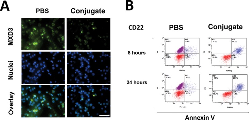 Figure 4.