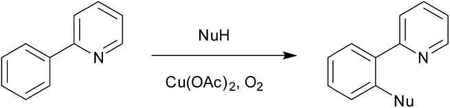 Scheme 3