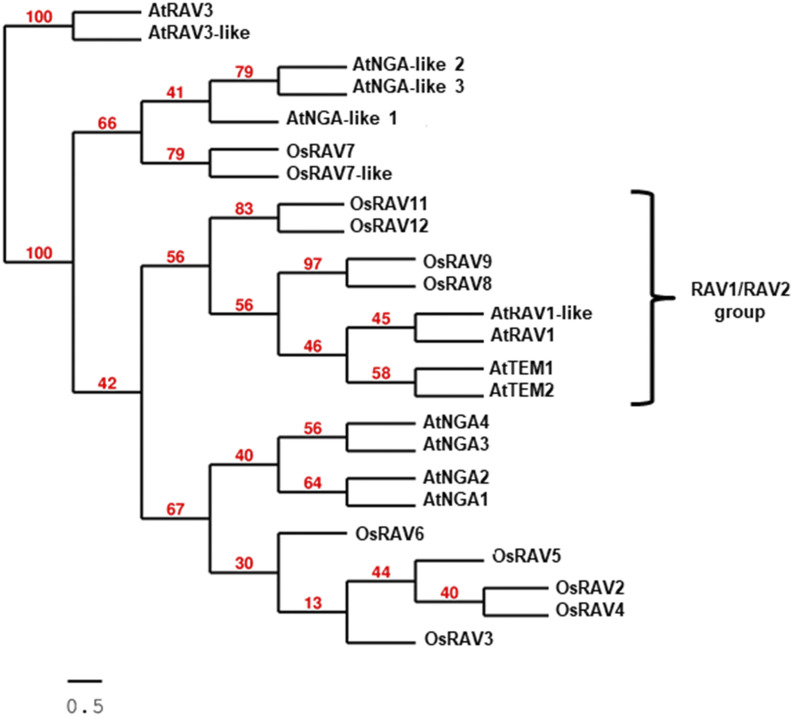 Figure 1.