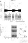Fig. 11.