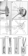 Fig. 2.