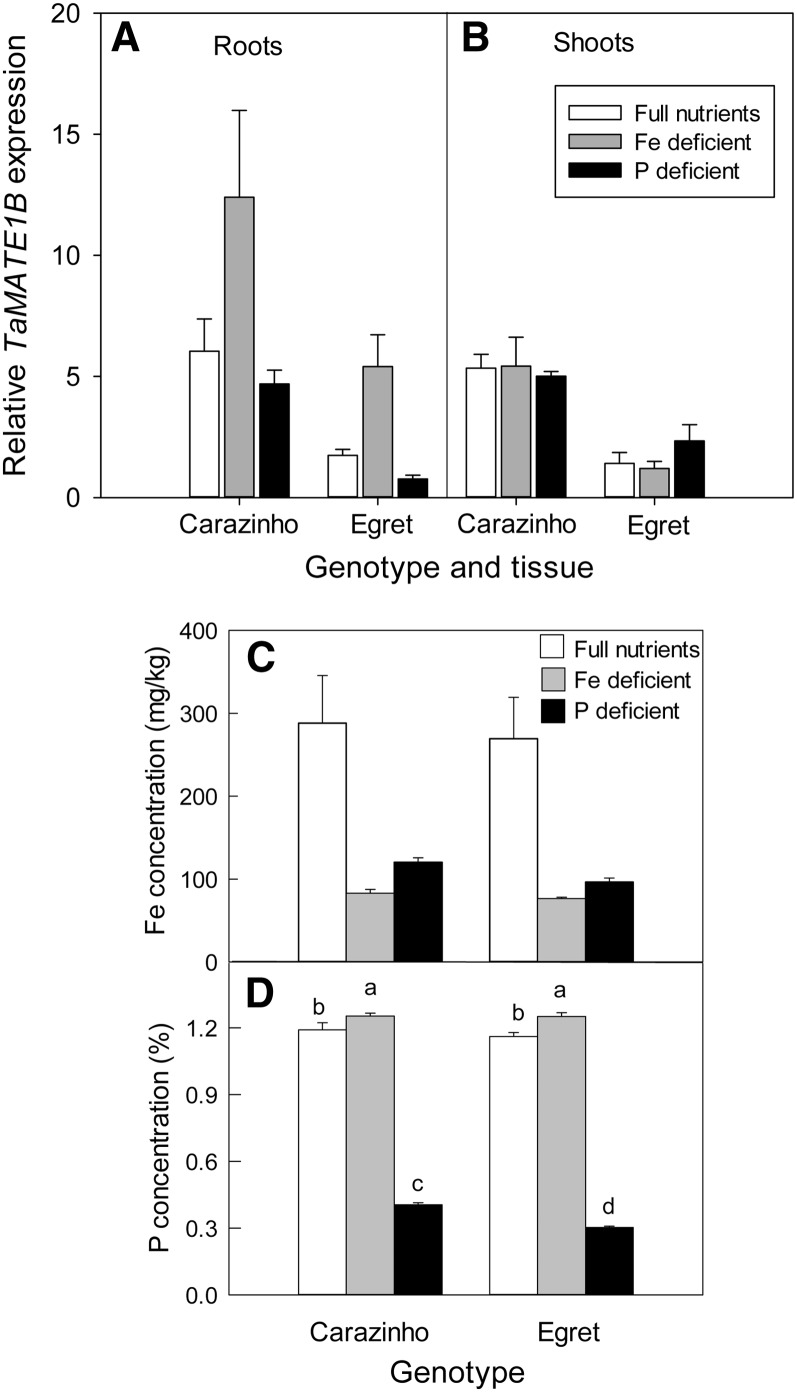 Figure 7.