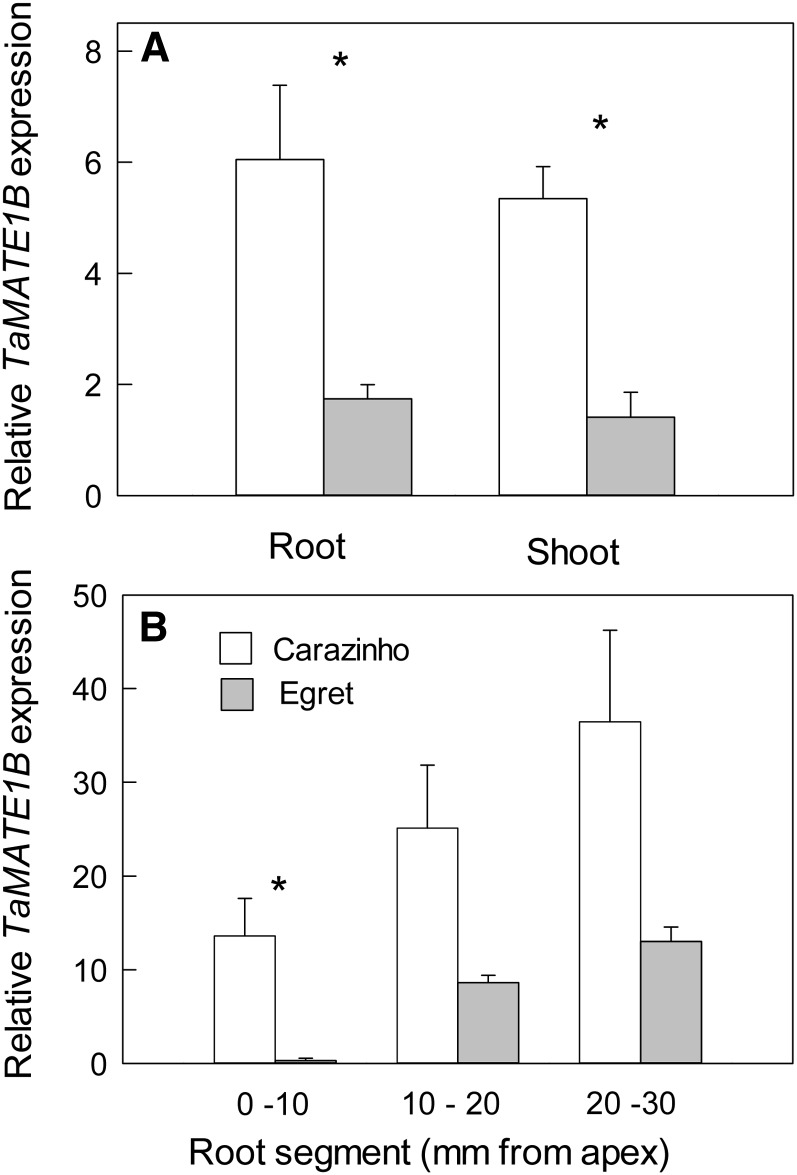 Figure 6.