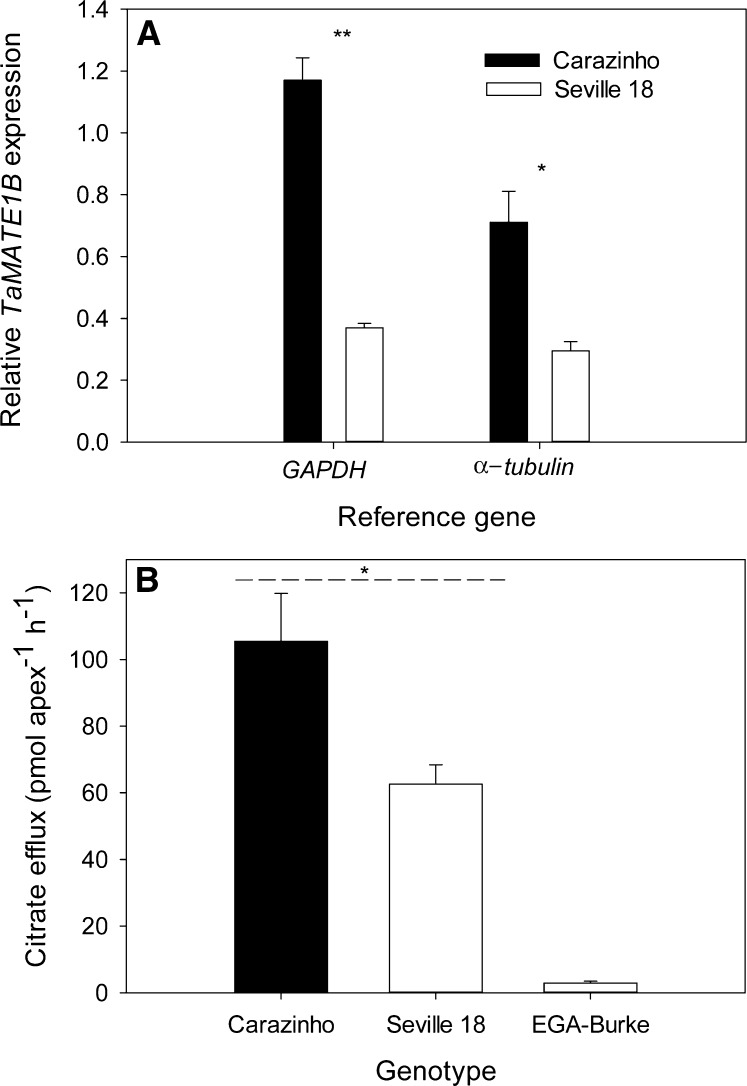 Figure 10.