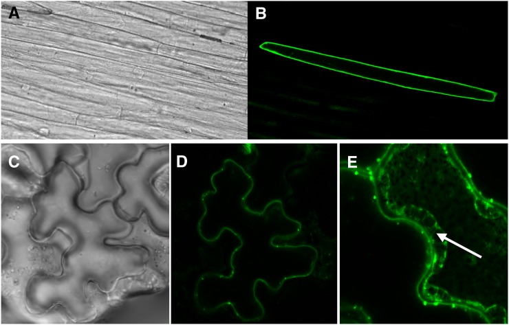 Figure 3.