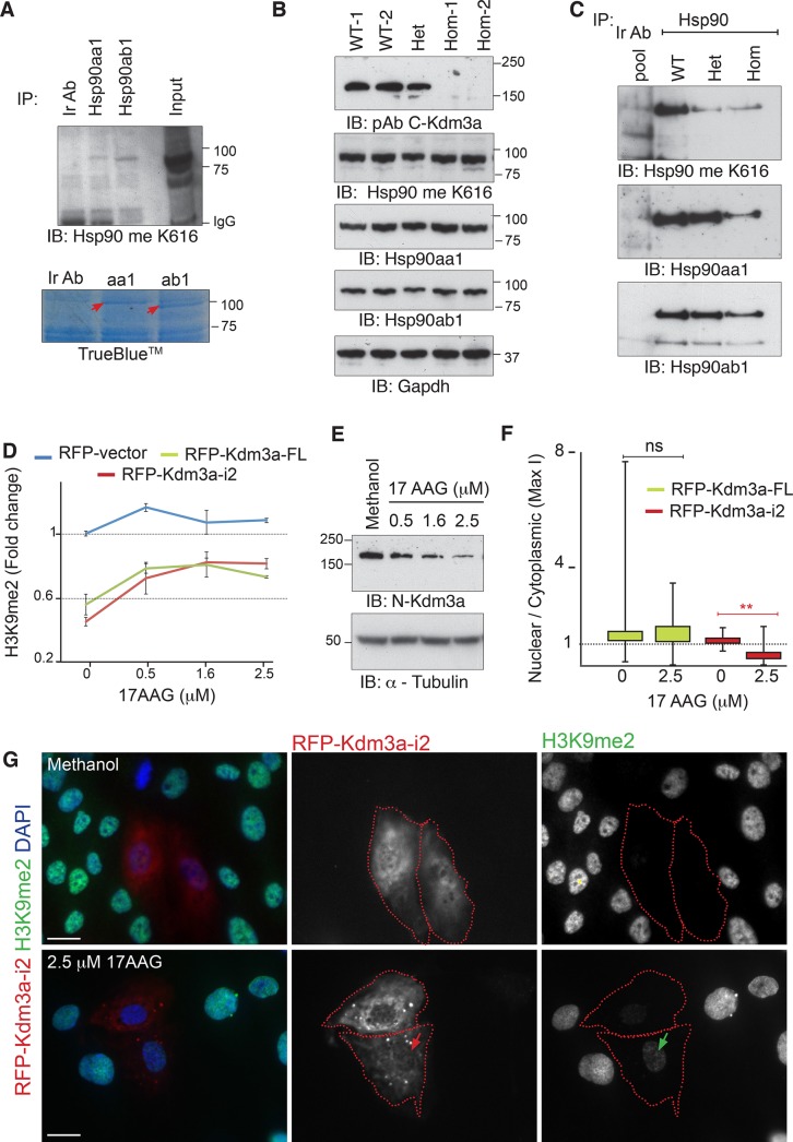 FIGURE 6: