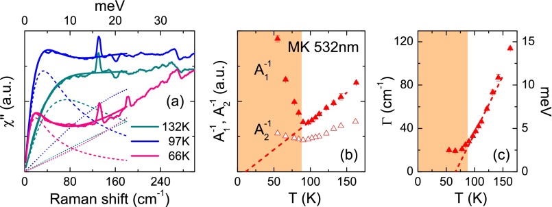 Fig. S6.