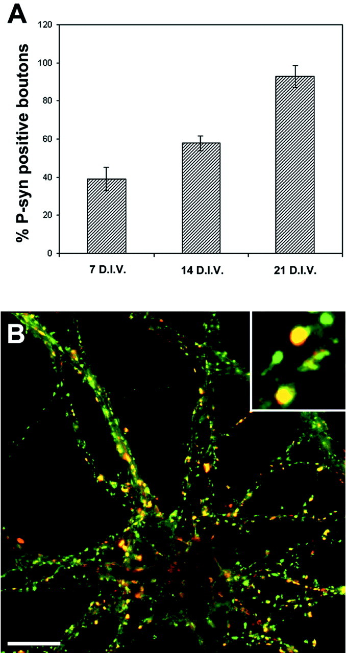 Fig. 8.