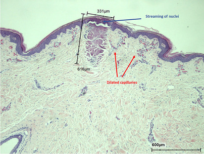 Fig. 9
