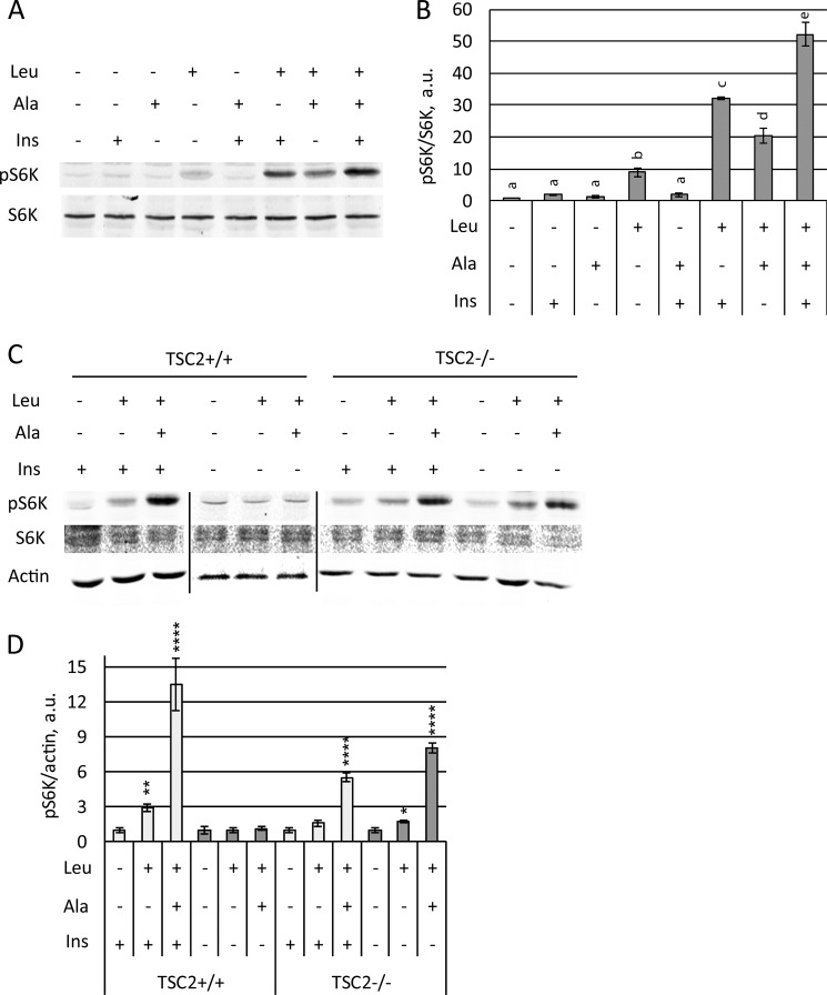 FIGURE 10.