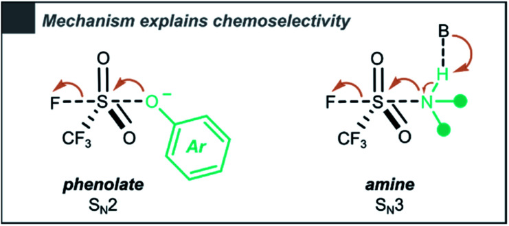 Scheme 6