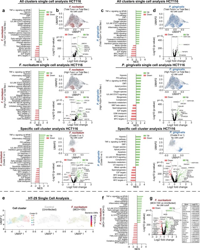 Extended Data Fig. 5