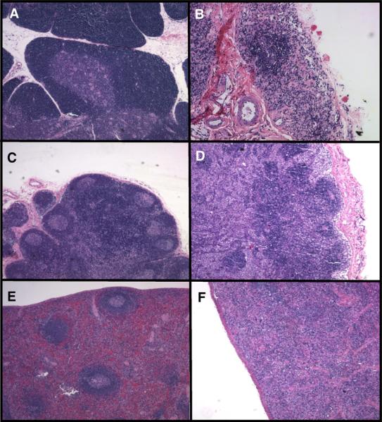 Fig. 9