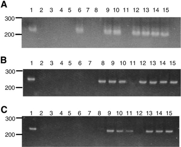 Fig. 10