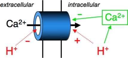 Figure 12.