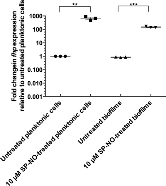 FIG 4