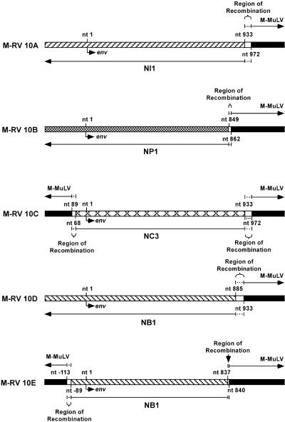 FIG. 3.