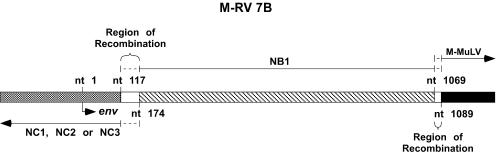 FIG. 2.