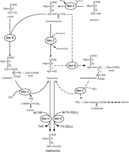 FIG. 5.