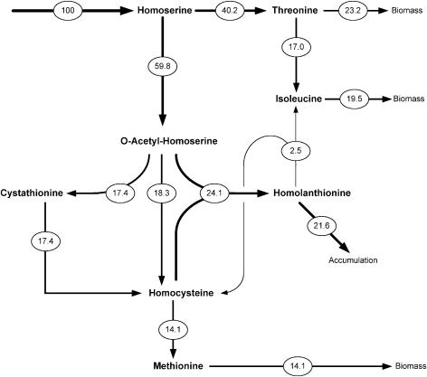 FIG. 6.