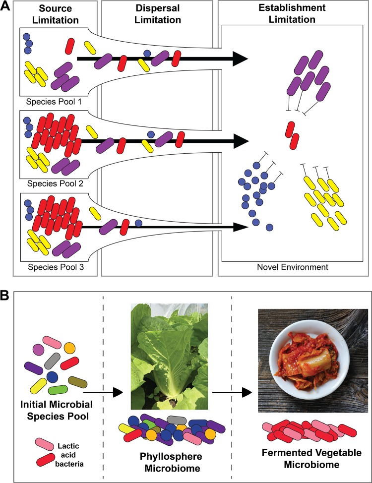 FIG 1