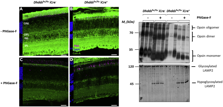 Figure 5