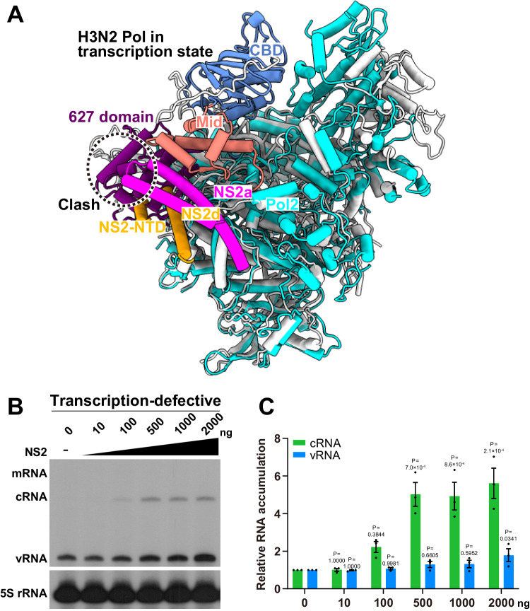 Figure 5