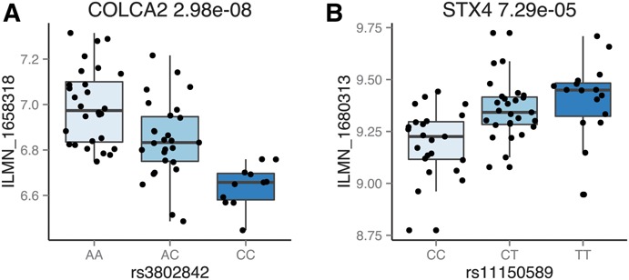 FIGURE 3