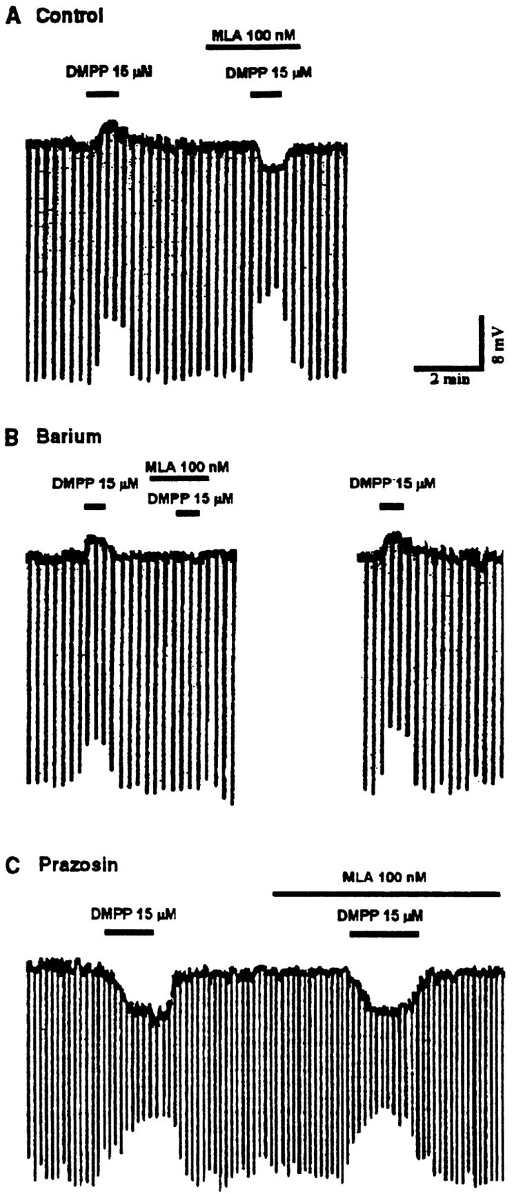 Fig. 6.