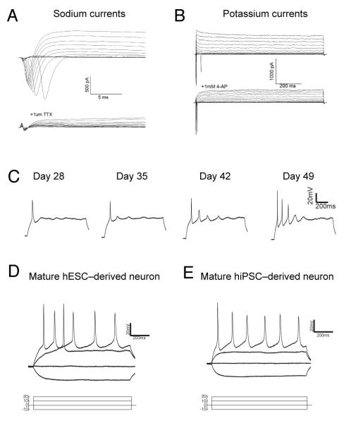 Figure 6