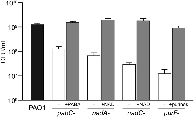 Fig. 5.