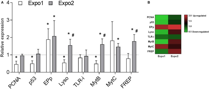 Figure 7