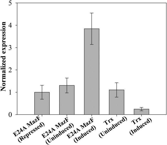 FIGURE 5.