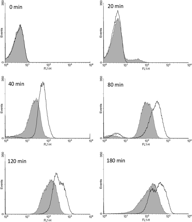 FIGURE 2.