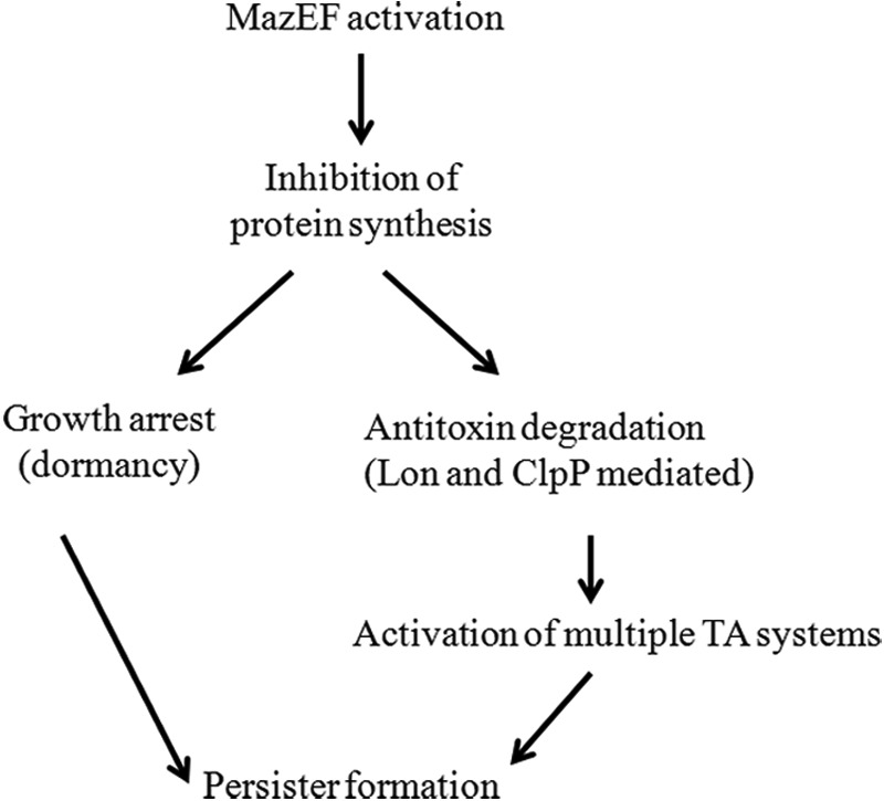 FIGURE 9.