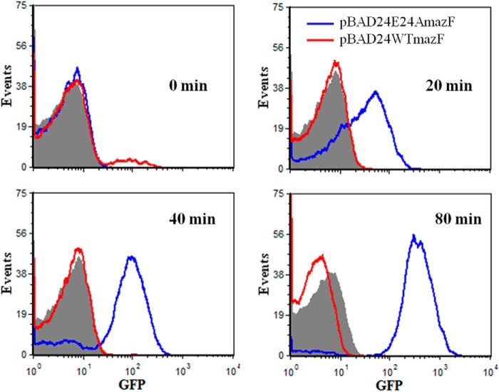 FIGURE 3.