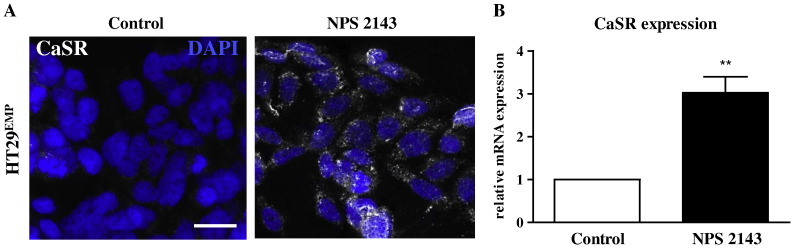 Fig. 7