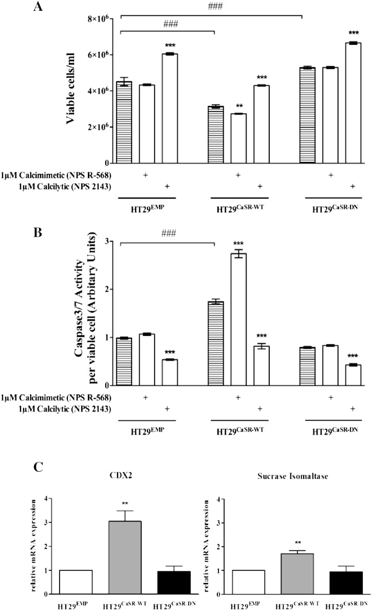 Fig. 6