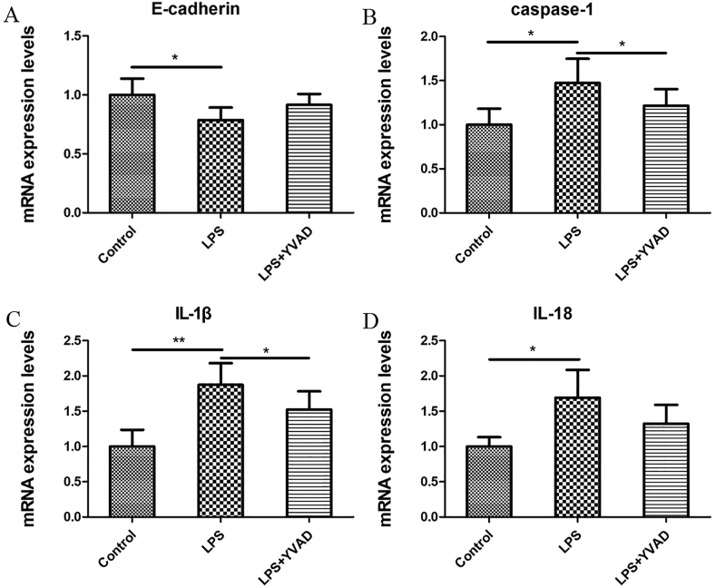 Figure 4