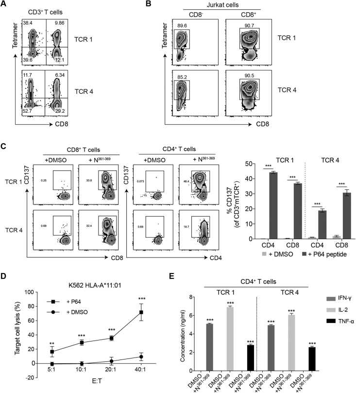 Figure 3