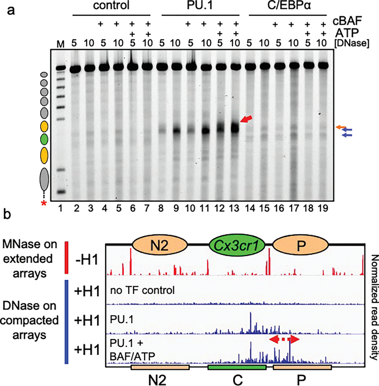 Figure 3: