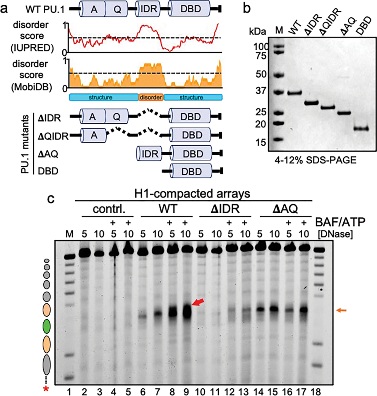 Figure 4: