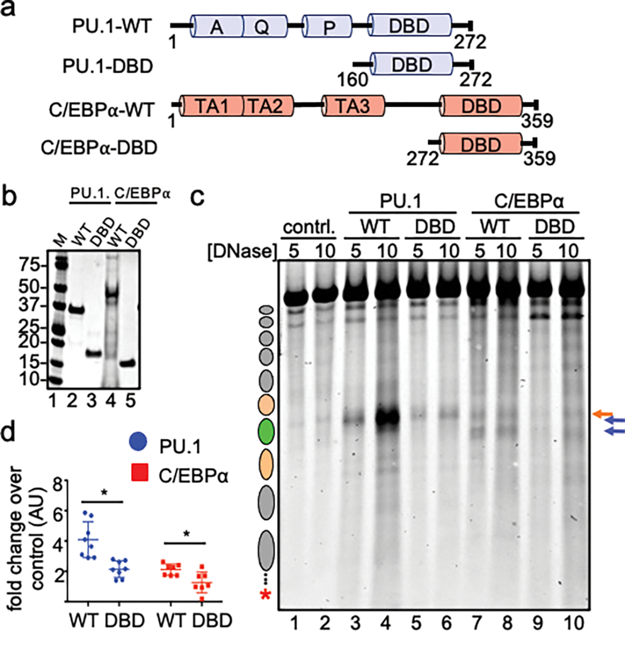 Figure 2: